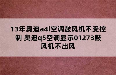 13年奥迪a4l空调鼓风机不受控制 奥迪q5空调显示01273鼓风机不出风